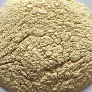 Arrel de gingebre en pols